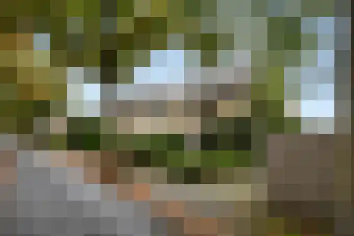 Gasthuisbouwing 2 Bennekom thumbnail 8