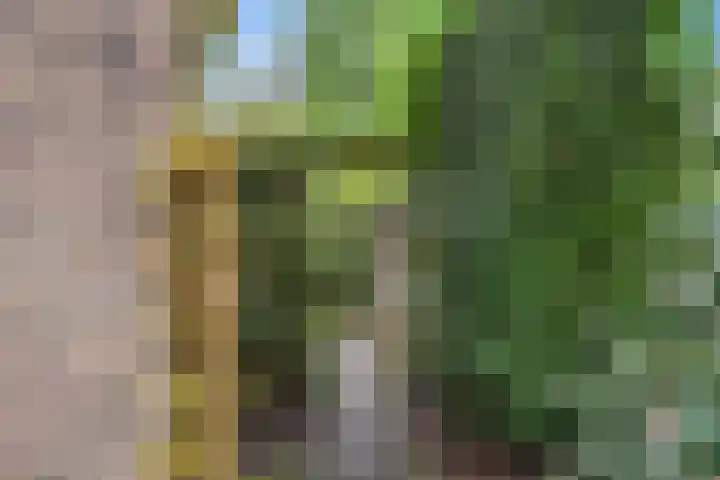 Gasthuisbouwing 2 Bennekom thumbnail 9
