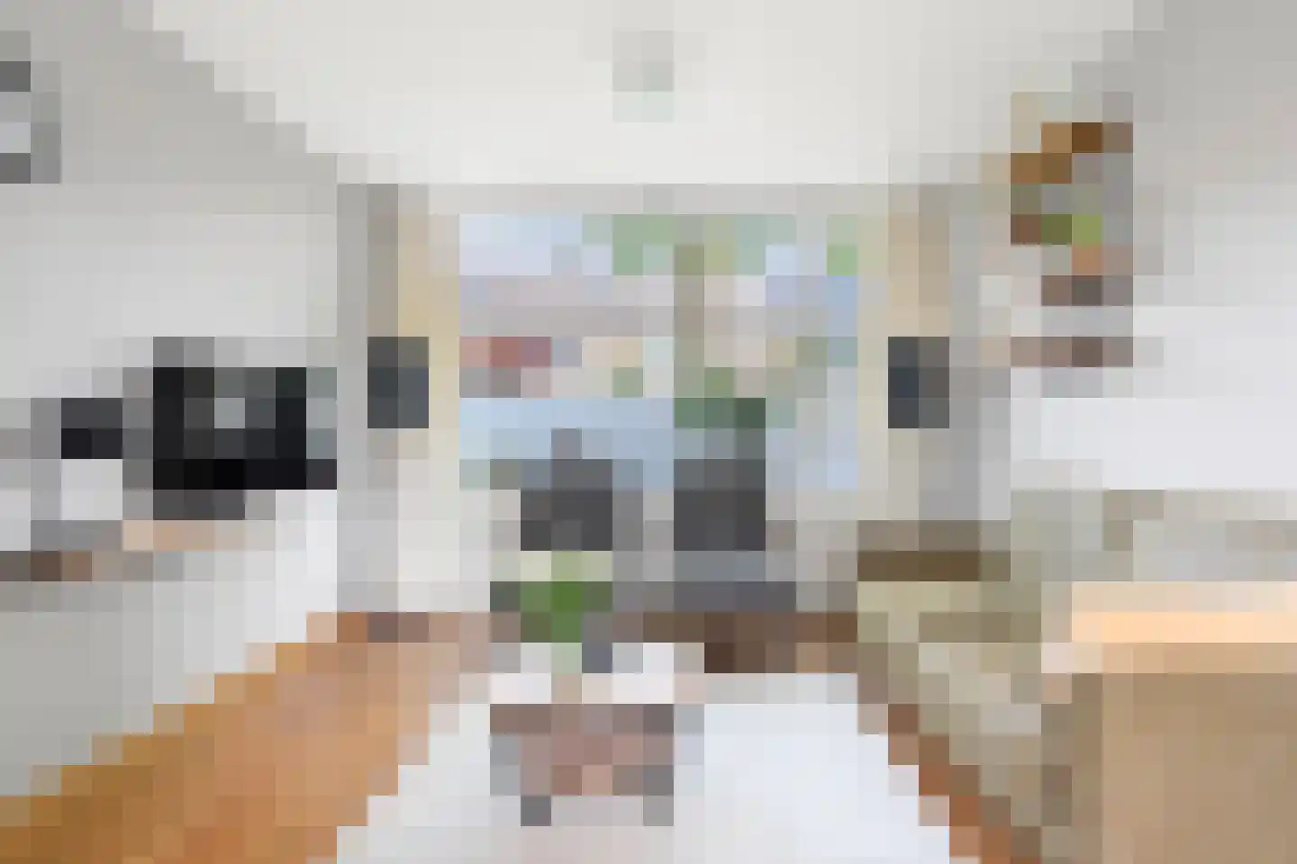 Gasthuisbouwing 3 Bennekom thumbnail 7