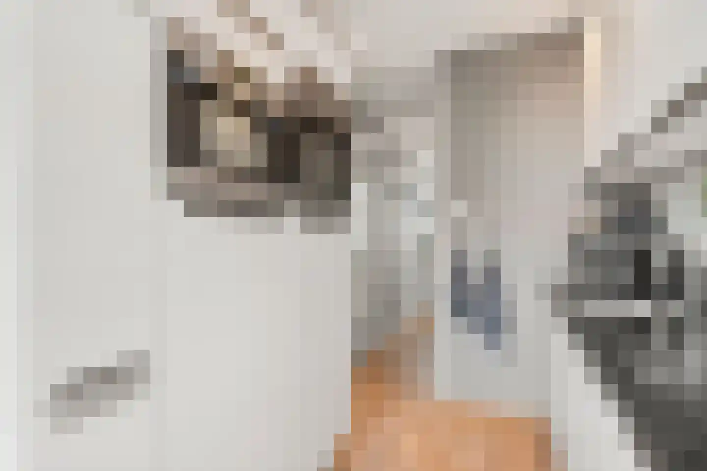 Gasthuisbouwing 3 Bennekom thumbnail 8