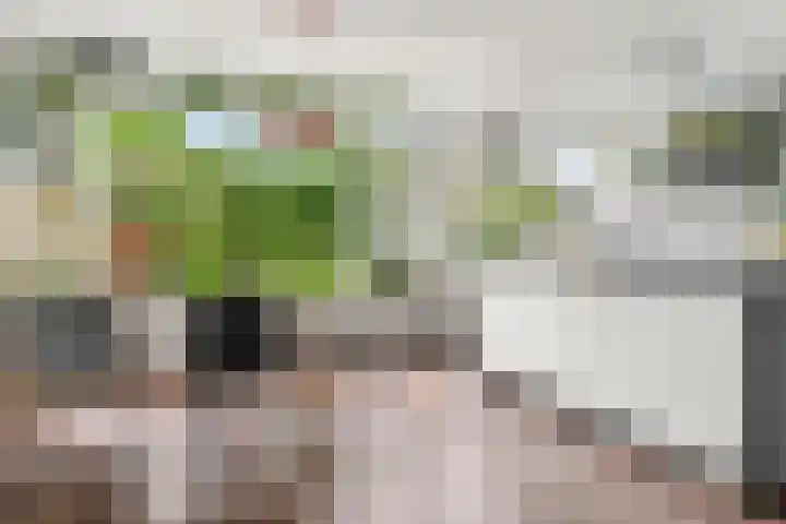 Gasthuisbouwing 9 Bennekom thumbnail 10