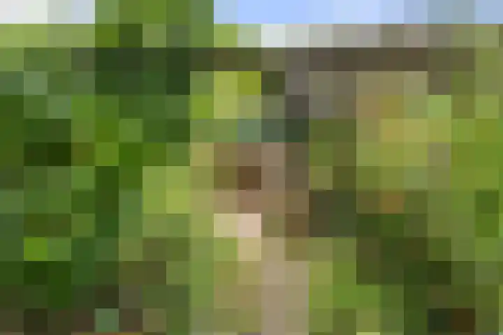Gasthuisbouwing 9 Bennekom thumbnail 27
