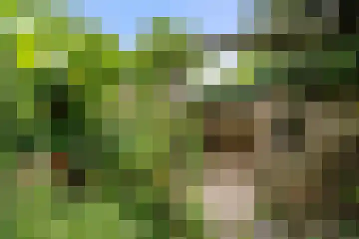 Gasthuisbouwing 9 Bennekom thumbnail 28
