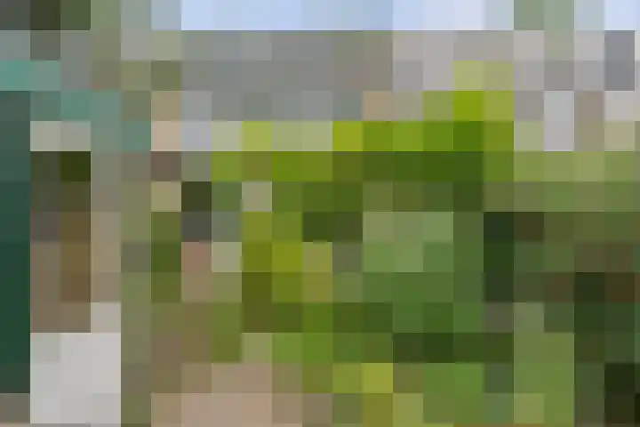 Gasthuisbouwing 9 Bennekom thumbnail 30