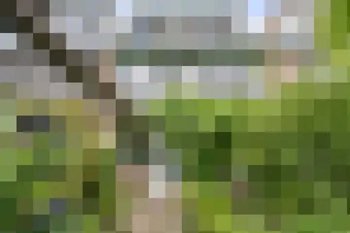 Gasthuisbouwing 9 Bennekom thumbnail 31