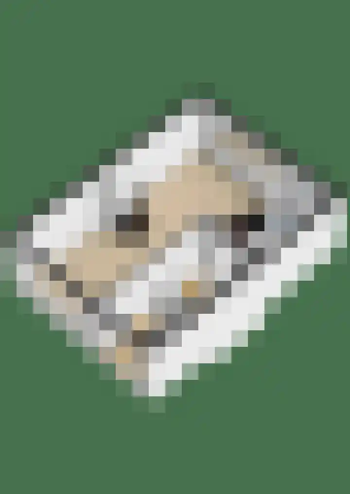 Gasthuisbouwing 9 Bennekom thumbnail 35