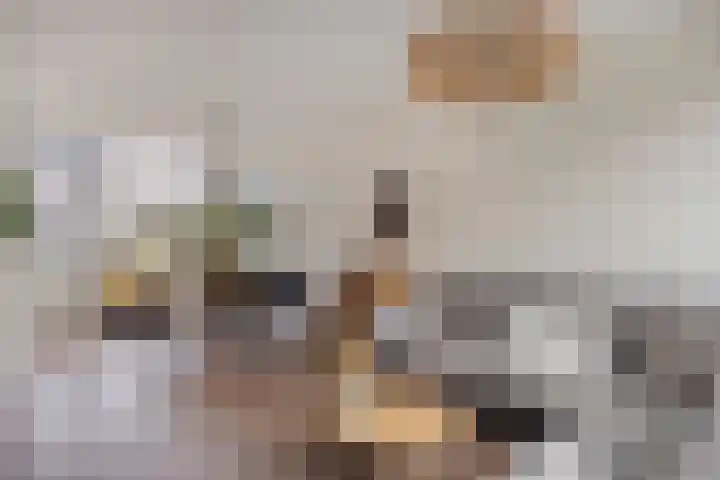 Gasthuiskamp 12 Zutphen thumbnail 8