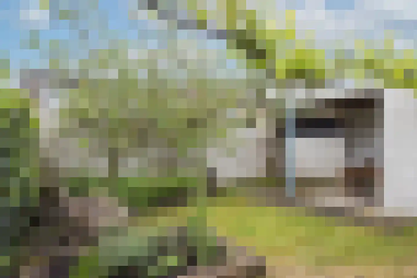 Gasthuiskamp 40 Zutphen thumbnail 19