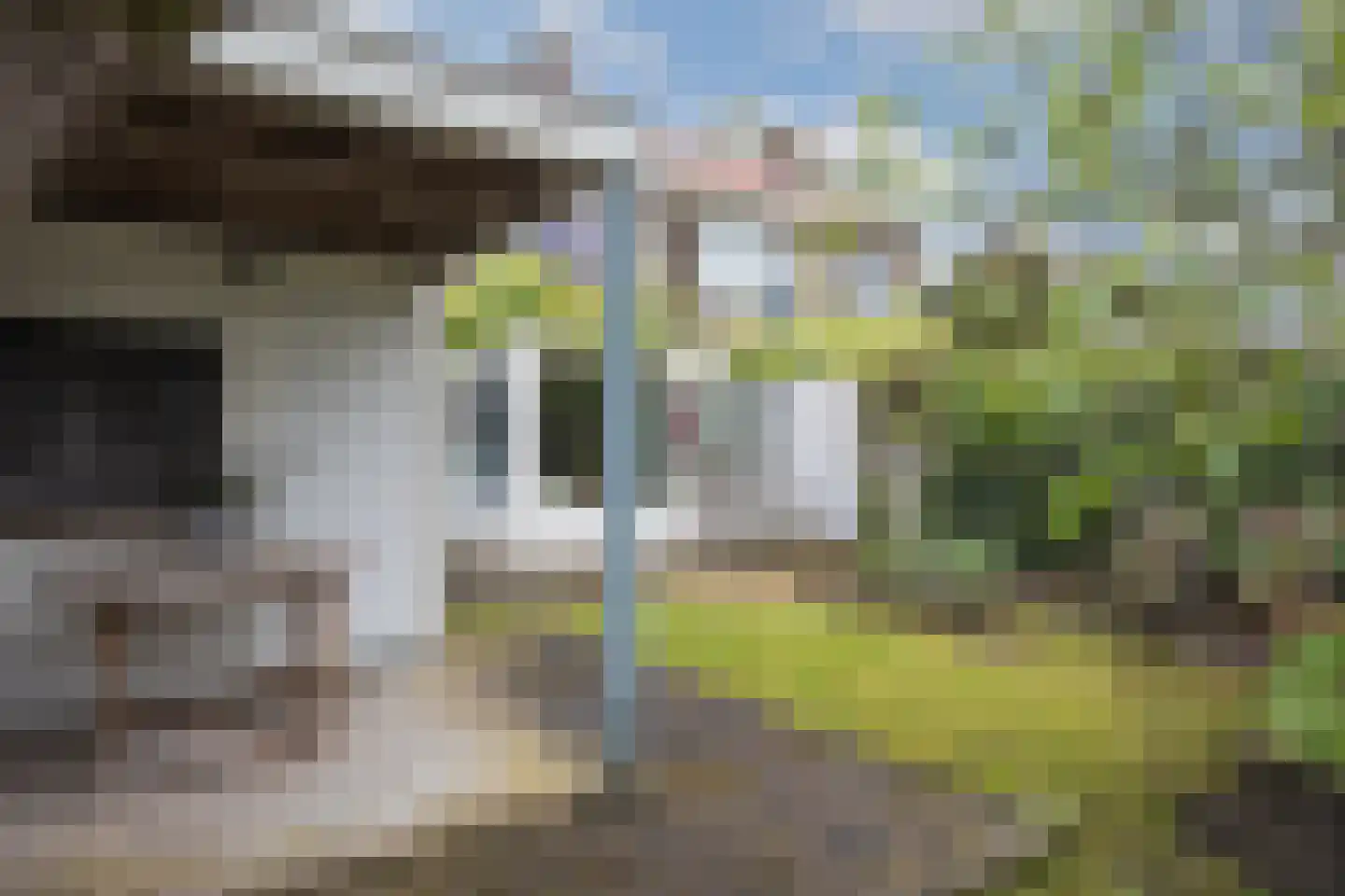 Gasthuiskamp 40 Zutphen thumbnail 20