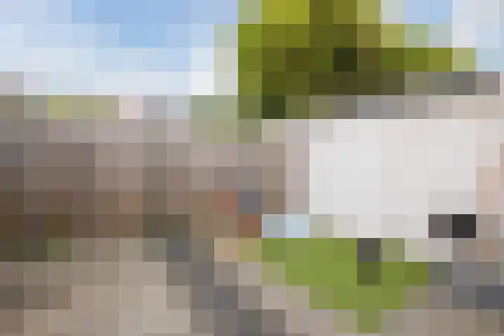 Gasthuiskampstraat 2 A Venlo thumbnail 36