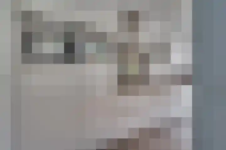 Gasthuiskampstraat 2 Venlo thumbnail 19