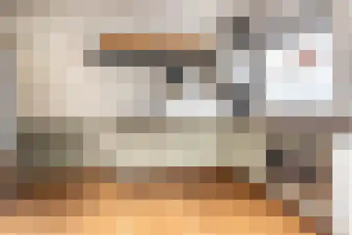 Gasthuislaan 108 Haarlem thumbnail 13