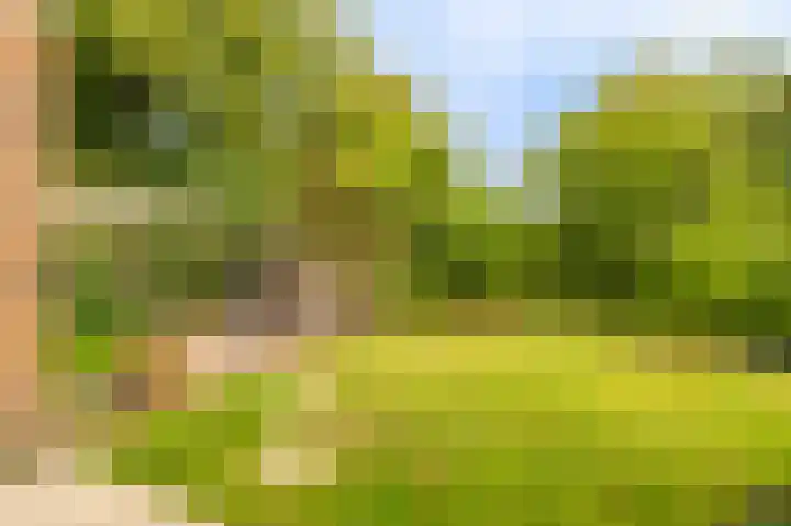 Gasthuislaan 11 Scheemda thumbnail 39
