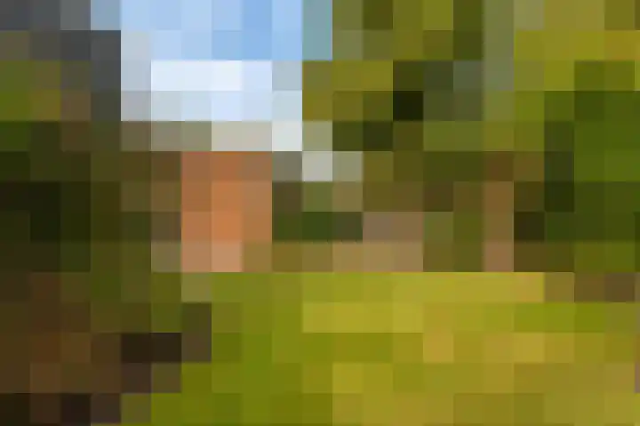 Gasthuislaan 11 Scheemda thumbnail 43