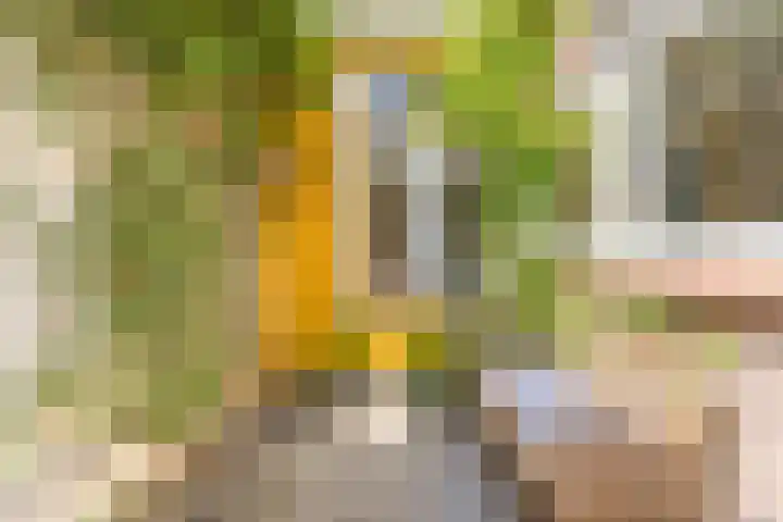 Gasthuislaan 129 Haarlem thumbnail 16