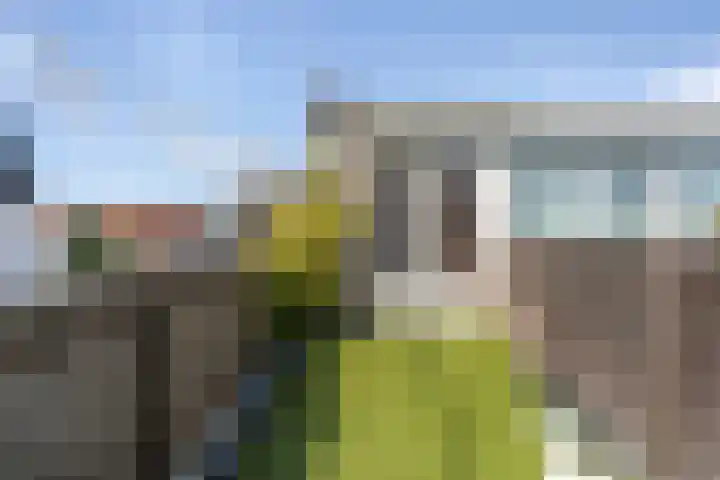Gasthuislaan 129 Haarlem thumbnail 30