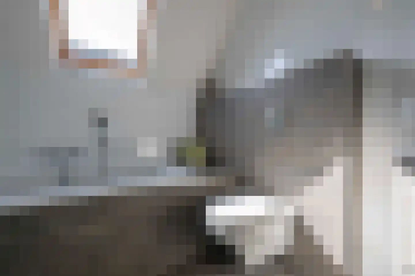 Gasthuislaan 16 Oudenbosch thumbnail 31