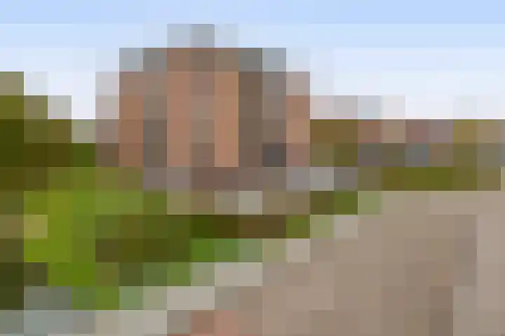 Gasthuislaan 167 's-Gravenzande thumbnail 30