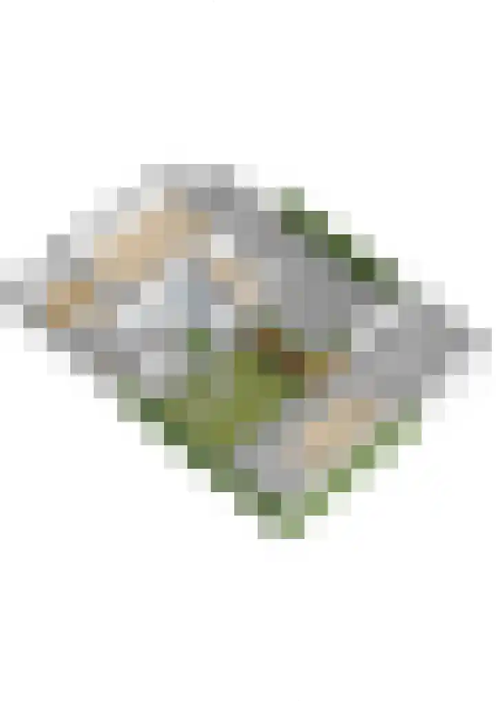 Gasthuislaan 18 's-Gravenzande thumbnail 103