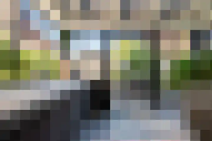 Gasthuislaan 18 's-Gravenzande thumbnail 31