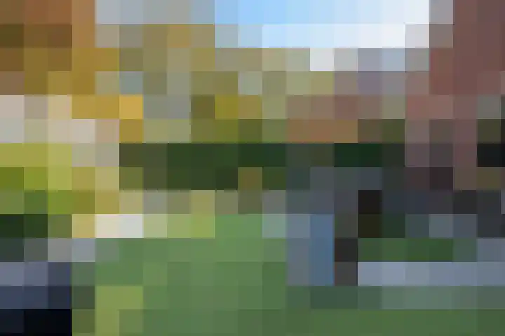 Gasthuislaan 18 's-Gravenzande thumbnail 35