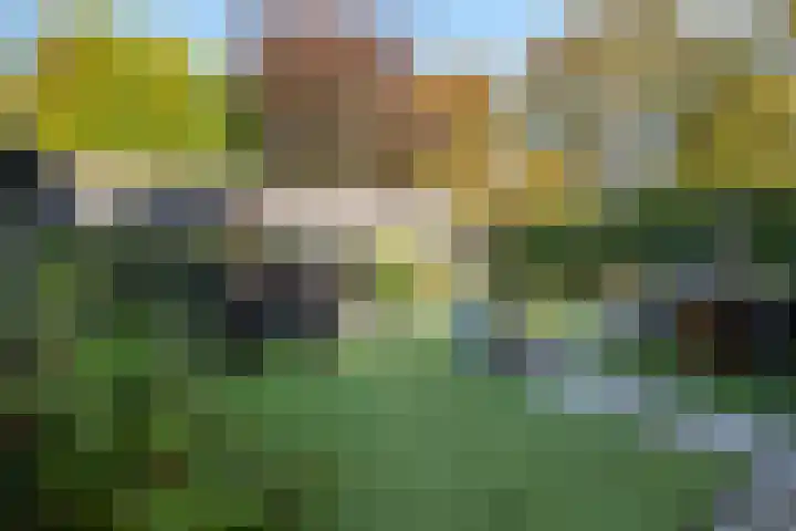 Gasthuislaan 18 's-Gravenzande thumbnail 36