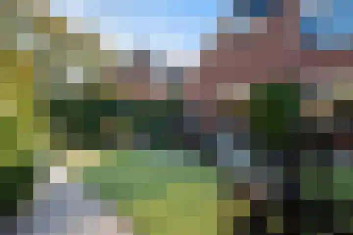 Gasthuislaan 18 's-Gravenzande thumbnail 38