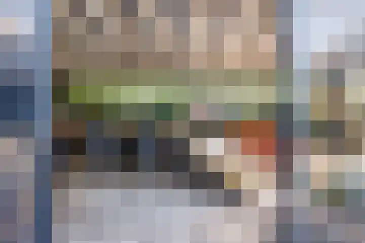 Gasthuislaan 18 's-Gravenzande thumbnail 40