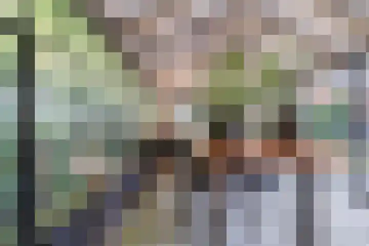 Gasthuislaan 18 's-Gravenzande thumbnail 41