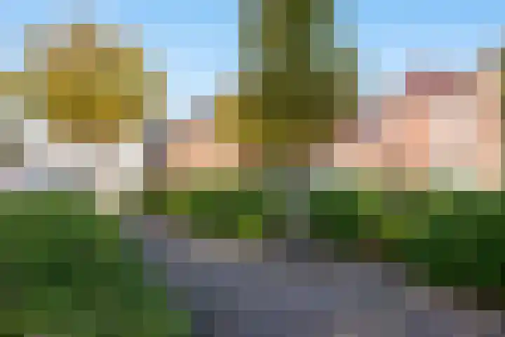 Gasthuislaan 18 's-Gravenzande thumbnail 96