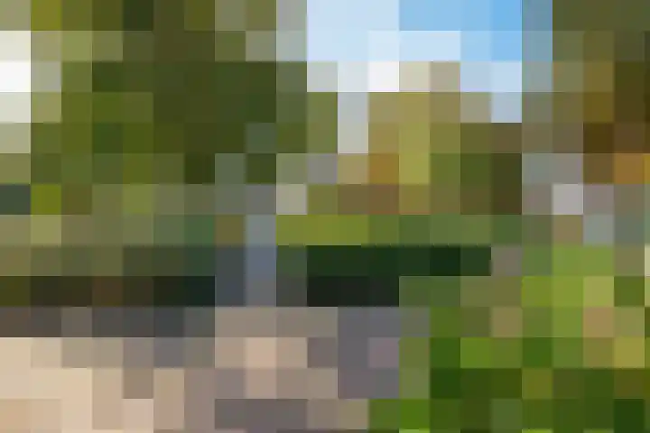 Gasthuislaan 18 's-Gravenzande thumbnail 97