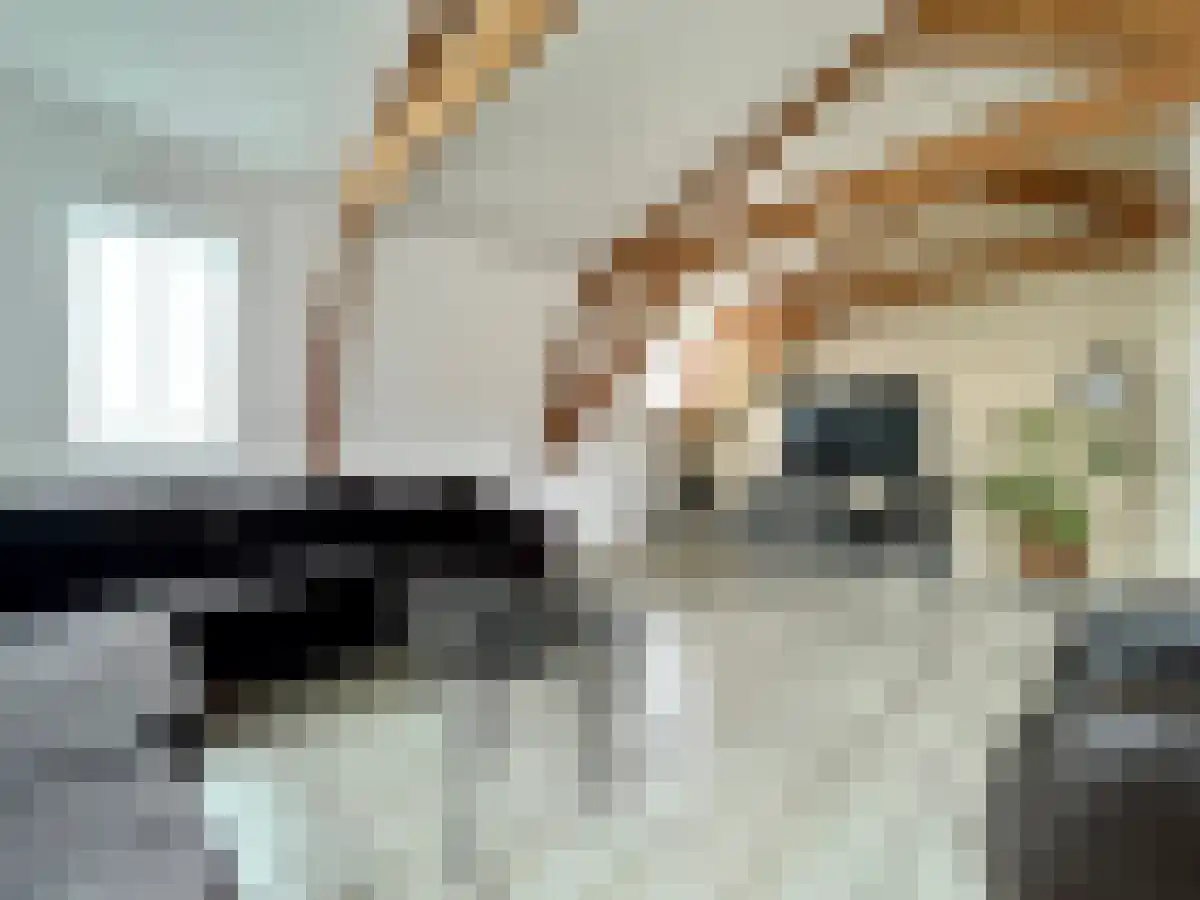 Gasthuislaan 22 A Steenwijk thumbnail 4