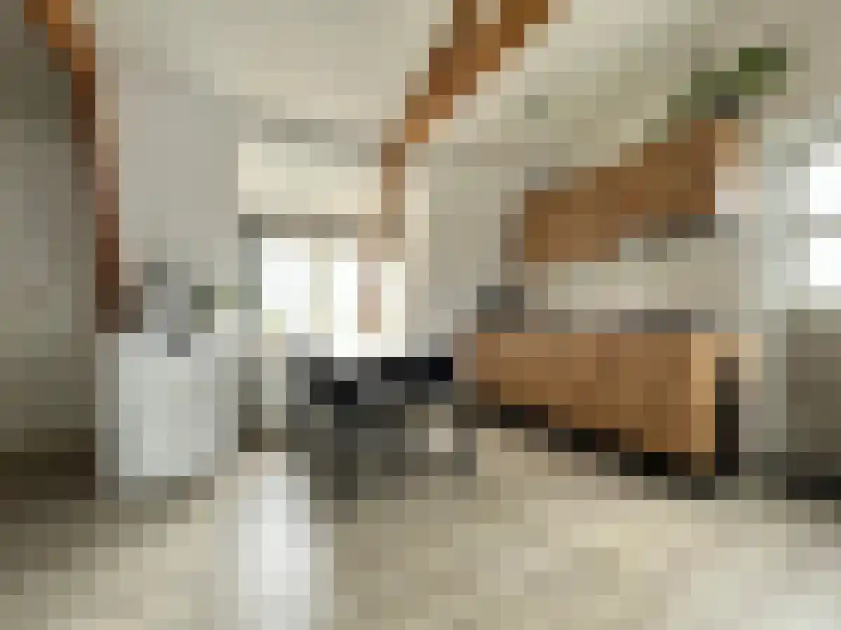 Gasthuislaan 22 A Steenwijk thumbnail 5