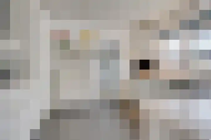 Gasthuislaan 26 Velp thumbnail 10