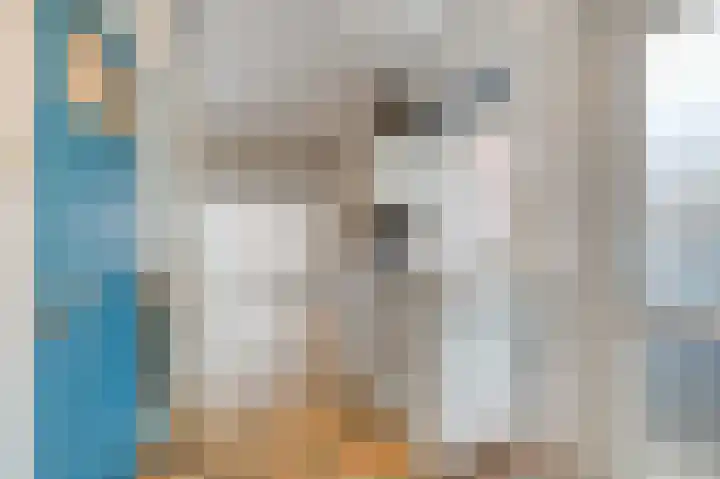 Gasthuislaan 26 Velp thumbnail 11