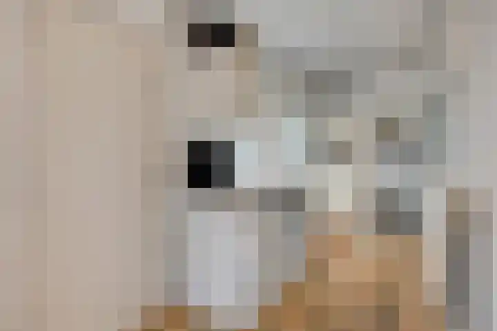 Gasthuislaan 26 Velp thumbnail 12