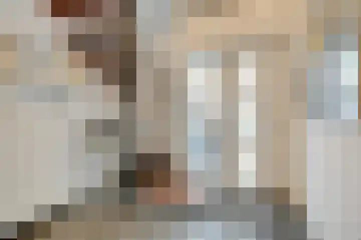 Gasthuislaan 26 Velp thumbnail 17