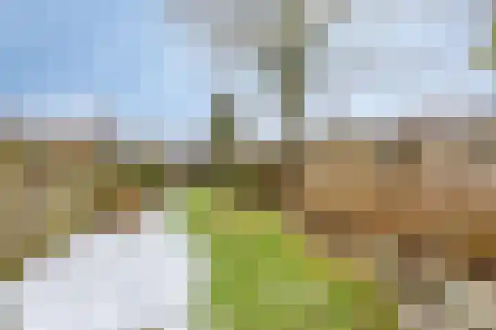 Gasthuislaan 26 Velp thumbnail 24