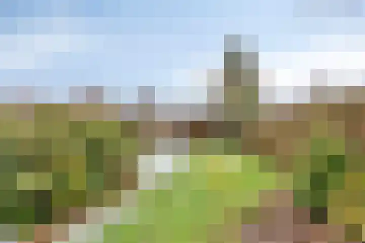 Gasthuislaan 26 Velp thumbnail 25