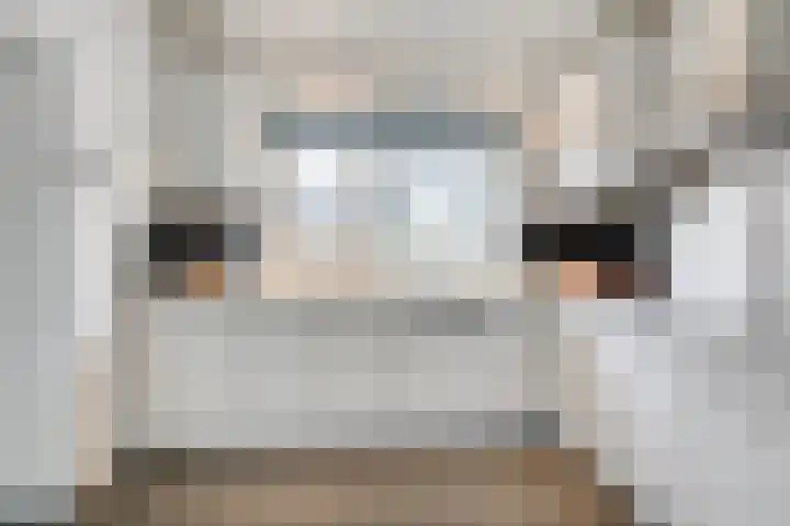 Gasthuislaan 26 Velp thumbnail 9