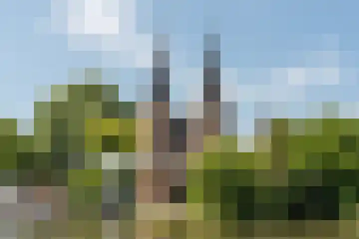 Gasthuislaan 261 Delft thumbnail 35