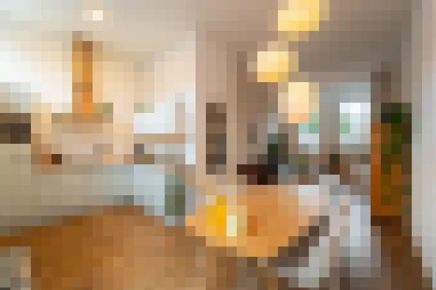 Gasthuislaan 29 Steenwijk thumbnail 12