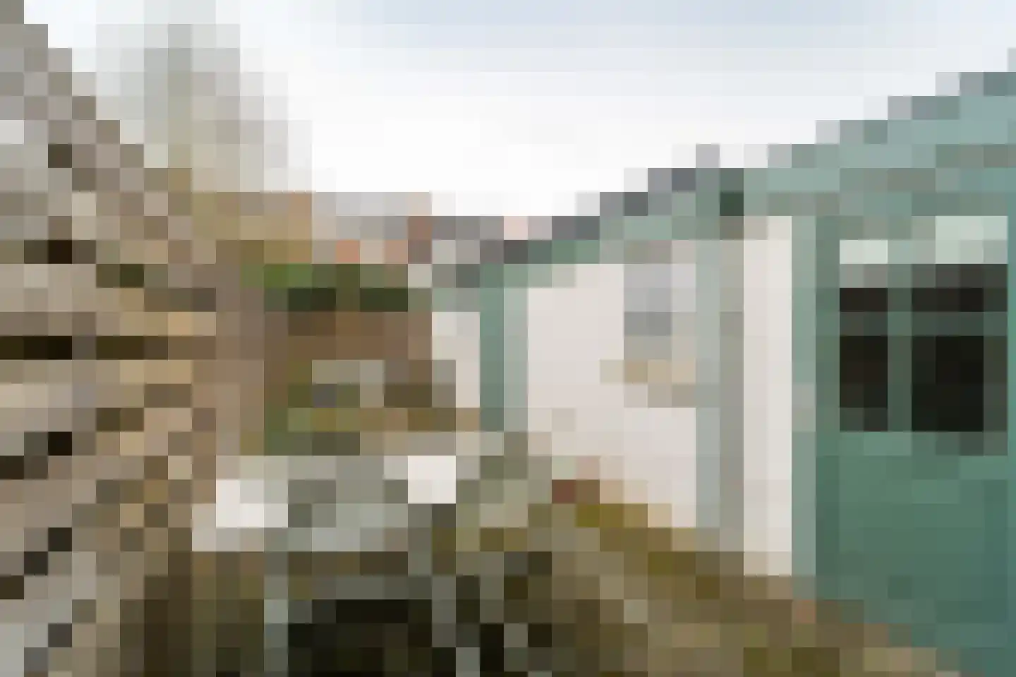 Gasthuislaan 29 Steenwijk thumbnail 30