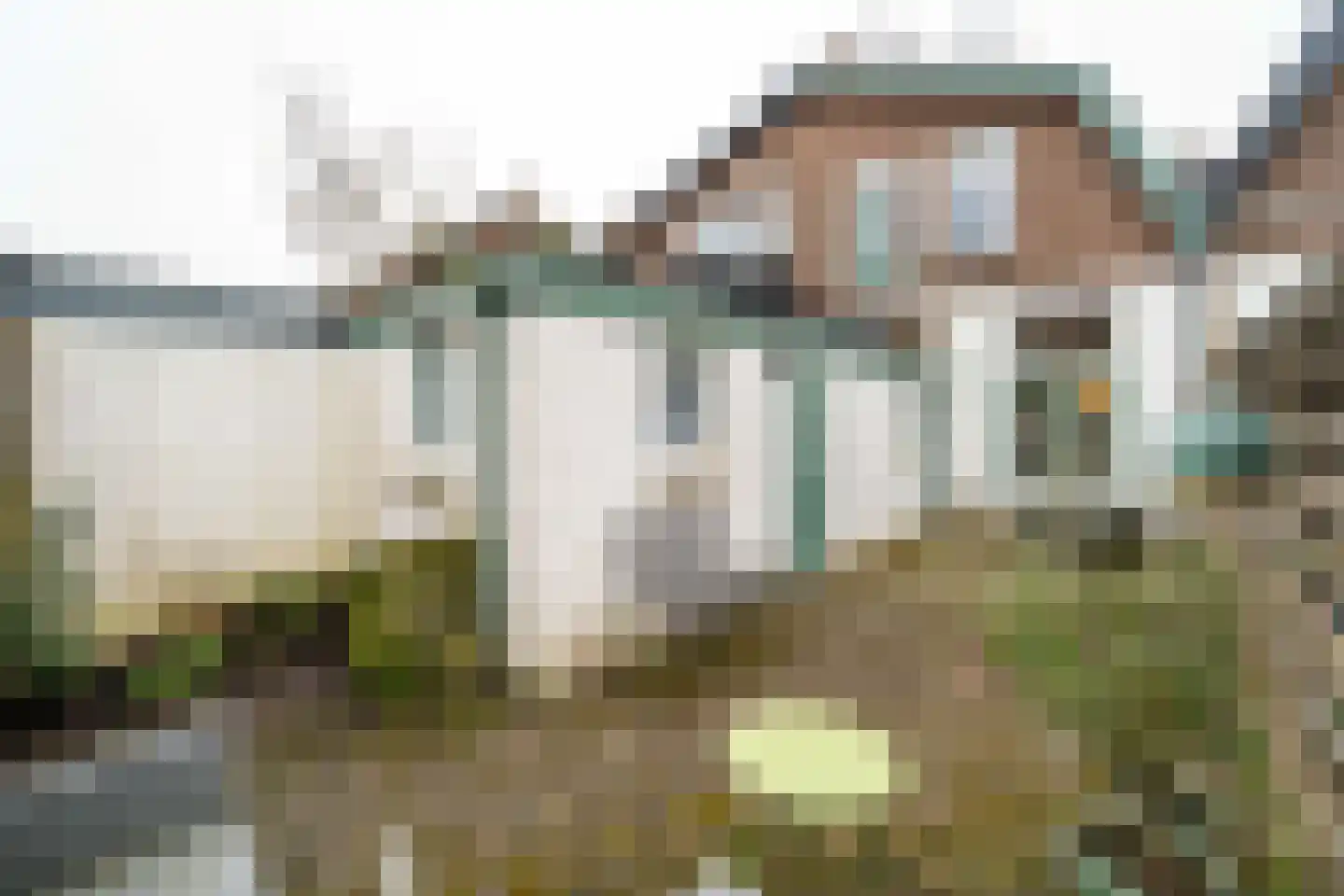 Gasthuislaan 29 Steenwijk thumbnail 31