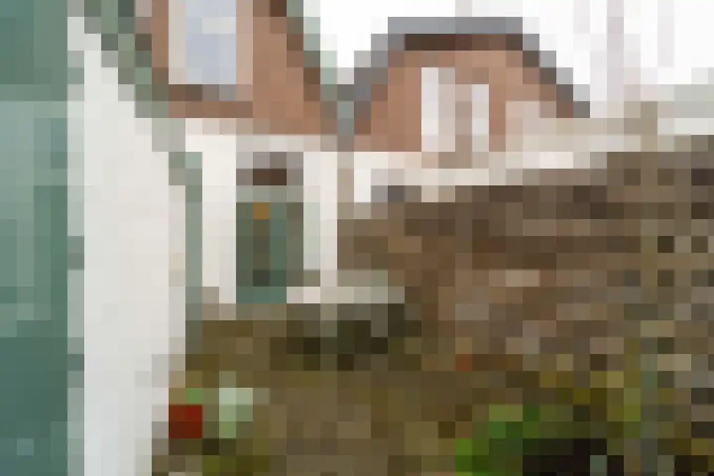 Gasthuislaan 29 Steenwijk thumbnail 32