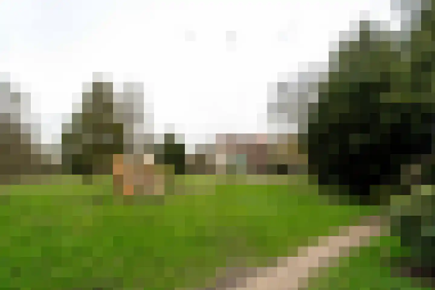 Gasthuislaan 29 Steenwijk thumbnail 34