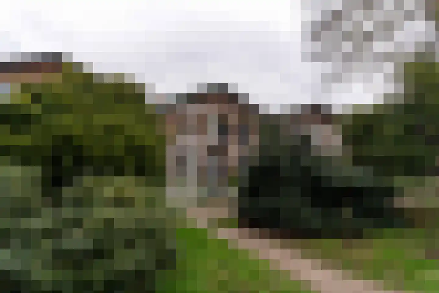 Gasthuislaan 29 Steenwijk thumbnail 37