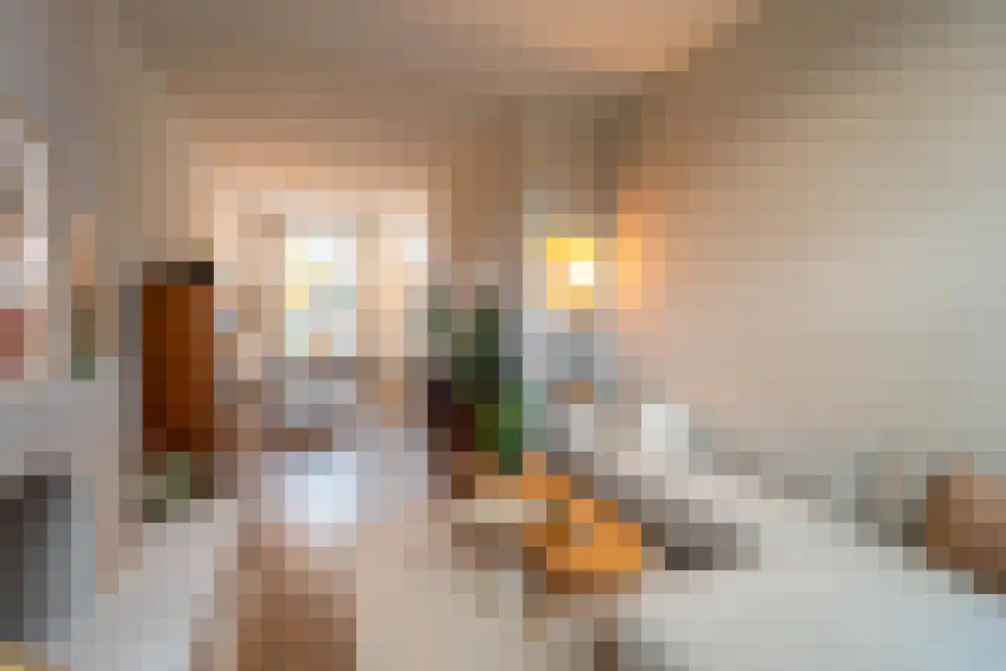 Gasthuislaan 29 Steenwijk thumbnail 6