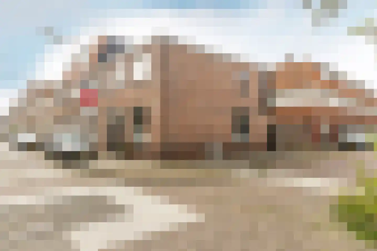 Gasthuislaan 40 Haarlem thumbnail 25