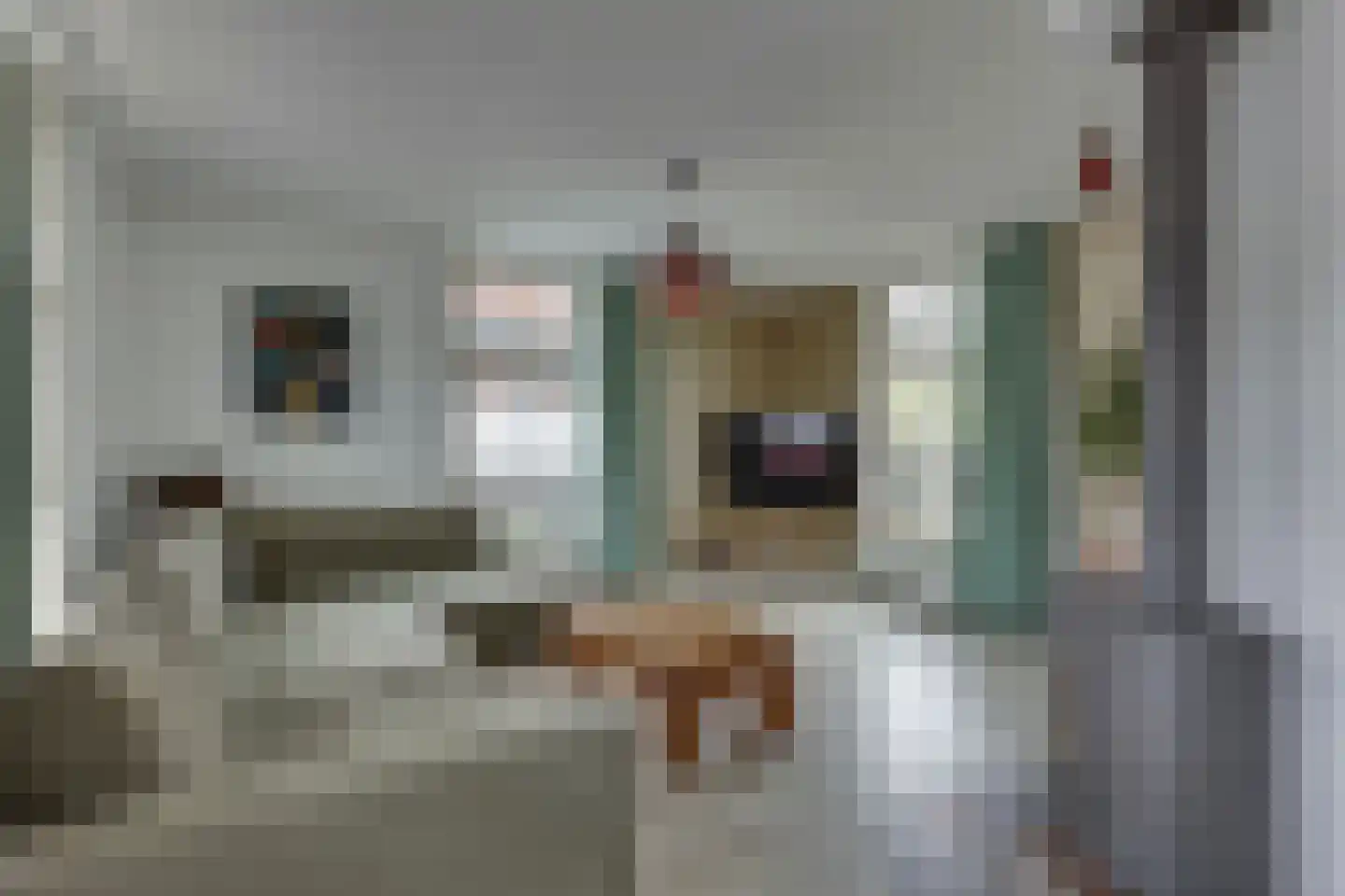 Gasthuislaan 6 Steenwijk thumbnail 12